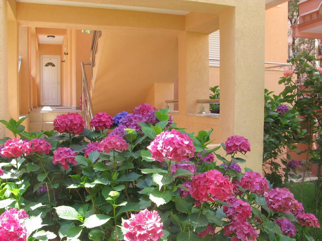 Hotel Garni Koral