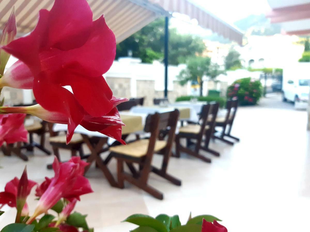 Garni Koral Hotel