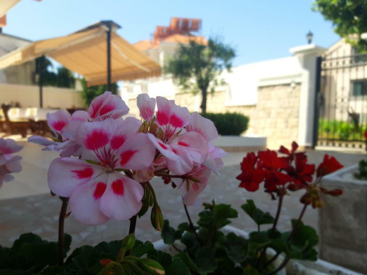 Hotel Garni Koral Budva